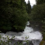 20100619_philipp06_untertalbach