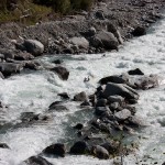 wohlfuehl_110926_0046