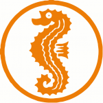 Seepferdchen Abzeichen