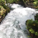 Untertalbach bei der Mühle von Oben Untertalbach bei der Mühle (Kein Klappern mehr)