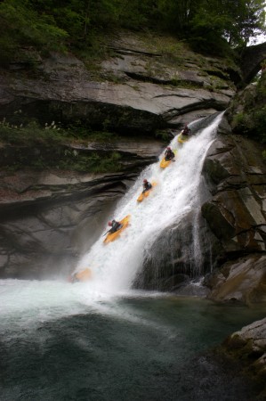 Olly Serienfoto Ribofall